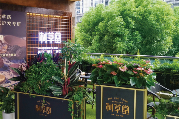 制草堂加盟